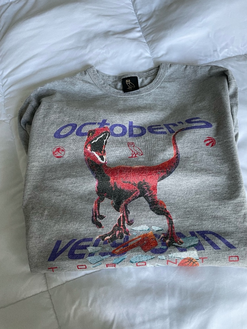Dinosaur Long Sleeve